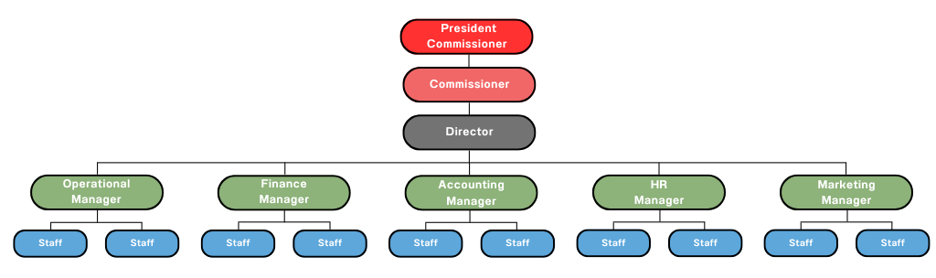 Organizational Structure